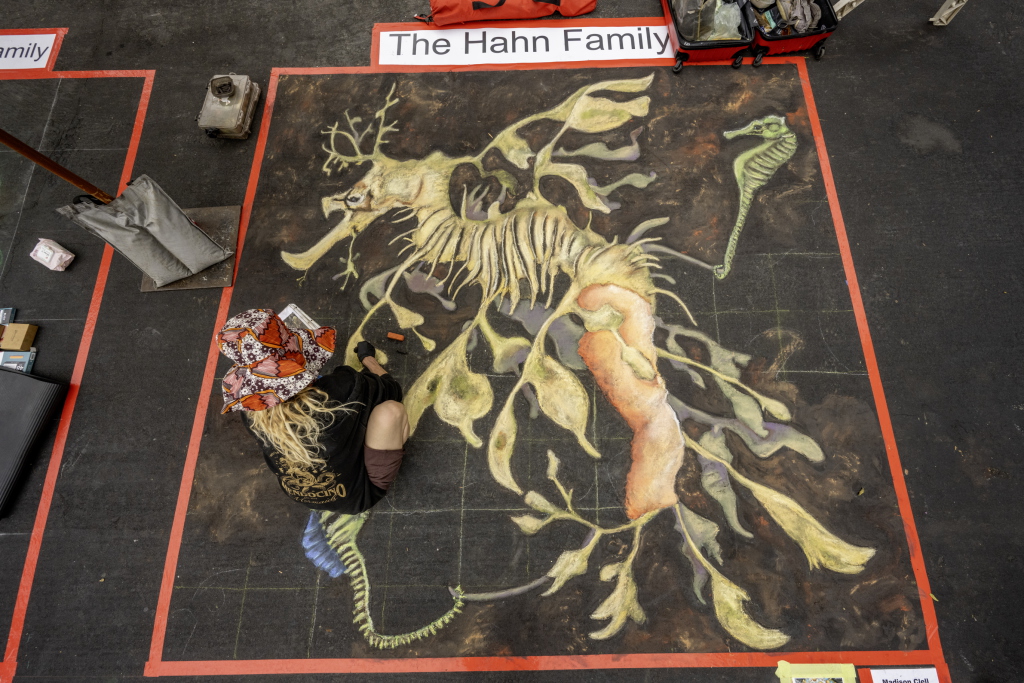 My hair doing its best leafy sea dragon impression